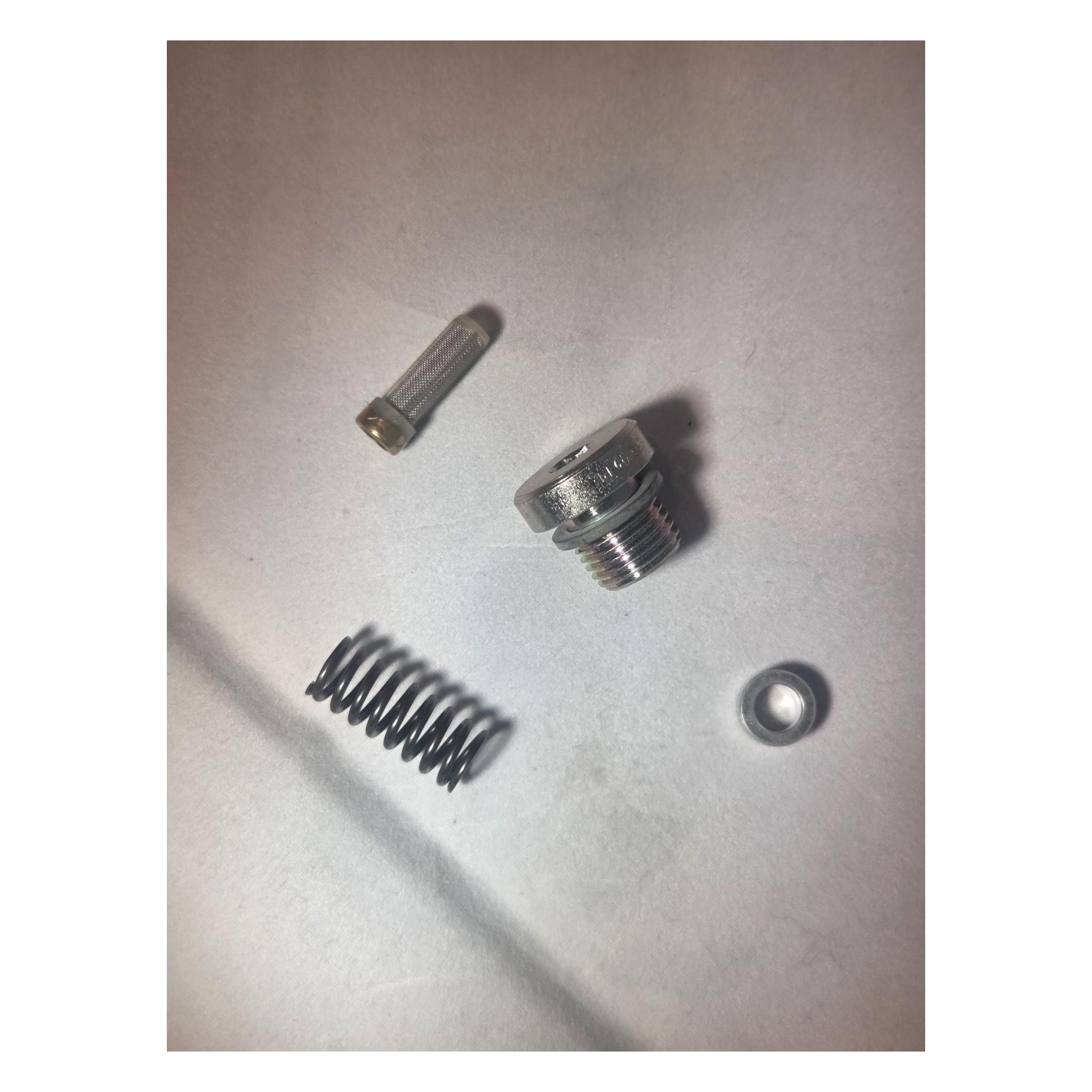 PILOT STRAINER S        SERVICE PARTS
