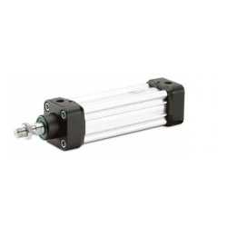 P1D standard cylinder D40 ST=100 P1D standard cylinder D40 ST=100